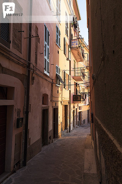 Schmale Straße zwischen Gebäuden  Manarola  Ligurien  Italien