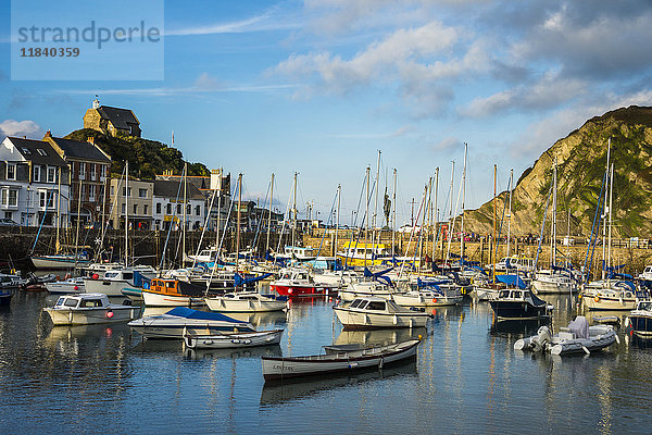 Bootshafen von Ifracombe  North Devon  England  Vereinigtes Königreich  Europa