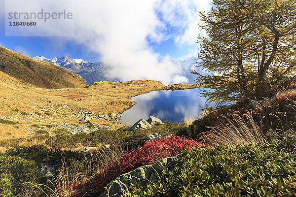 Wolken auf den Gipfeln der Bernina-Gruppe spiegeln sich im Arcoglio-See  Val Torreggio  Malenco-Tal  Valtellina  Lombardei  Italien  Europa