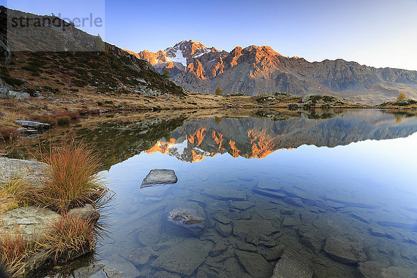 Die felsigen Gipfel des Monte Disgrazia spiegeln sich im Zana-See bei Sonnenaufgang  Malenco-Tal  Valtellina  Lombardei  Italien  Europa