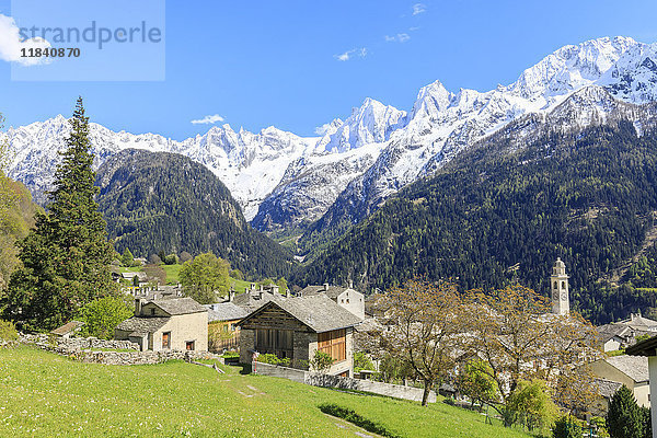 Blick auf Soglio zwischen Wiesen und verschneiten Gipfeln im Frühling  Maloja  Bergell  Engadin  Kanton Graubünden  Schweiz  Europa