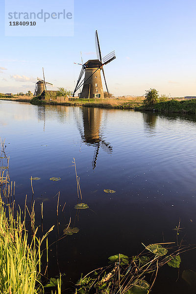 Typische Windmühlen  die sich in der Gracht spiegeln  umrahmt von Gras im Frühling  Kinderdijk  UNESCO-Weltkulturerbe  Molenwaard  Südholland  Niederlande  Europa