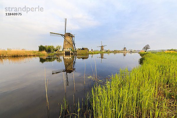 Morgendämmerung auf Windmühlen  die sich in der von grünen Wiesen umgebenen Gracht spiegeln  Kinderdijk  UNESCO-Weltkulturerbe  Molenwaard  Südholland  Niederlande  Europa