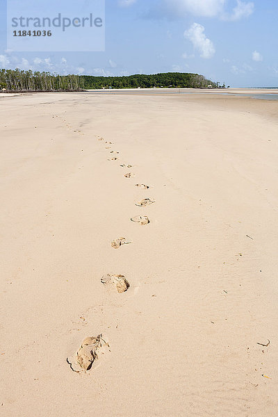 Strand auf der Insel Marano im brasilianischen Amazonasgebiet  Brasilien  Südamerika
