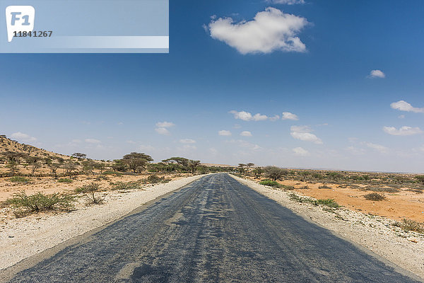Straße zwischen Hargheisa und Berbera  Somaliland  Somalia  Afrika
