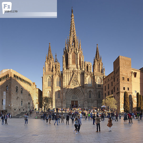 La Catedral de la Santa Creu i Santa Eulalia (Kathedrale von Barcelona)  Barri Gotic  Barcelona  Katalonien  Spanien  Europa