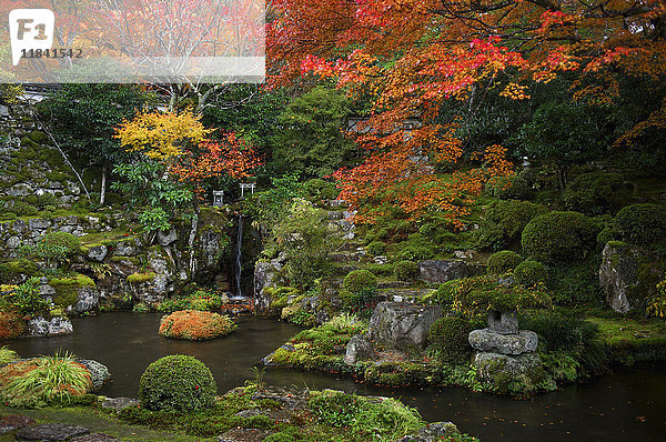 Japanischer Garten im Herbst  Ohara-Tal  Kyoto  Japan  Asien