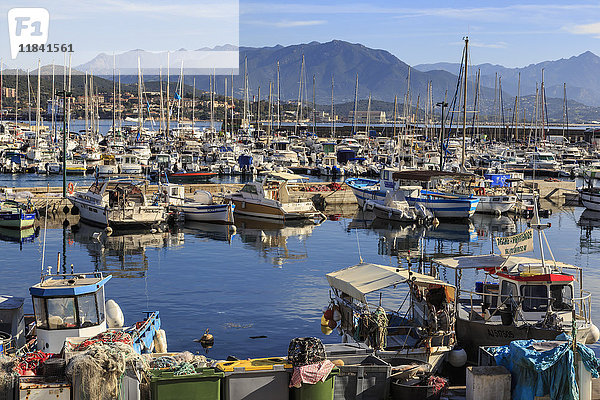Alter Hafen mit Fischerbooten und Yachten  Blick auf ferne Berge  Ajaccio  Insel Korsika  Frankreich  Mittelmeer  Europa