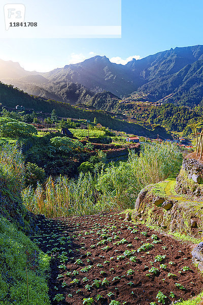 Erhöhte Ansicht von Ackerland  Hügeln und Bergen bei Lameiros  in der Nähe von Sao Vicente  Madeira  Portugal  Atlantik  Europa