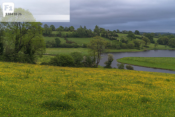 Lough Ougther  Grafschaft Cavan  Ulster  Republik Irland  Europa