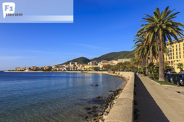 Strandpromenade Saint Francois mit Palmen  Morgenlicht  Ajaccio  Insel Korsika  Mittelmeer  Frankreich  Mittelmeer  Europa