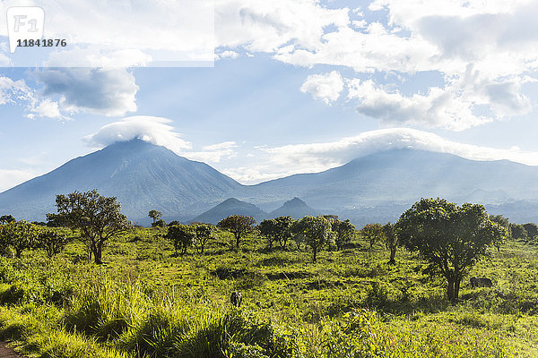 Die vulkanische Bergkette des Virunga-Nationalparks  UNESCO-Welterbe  Demokratische Republik Kongo  Afrika