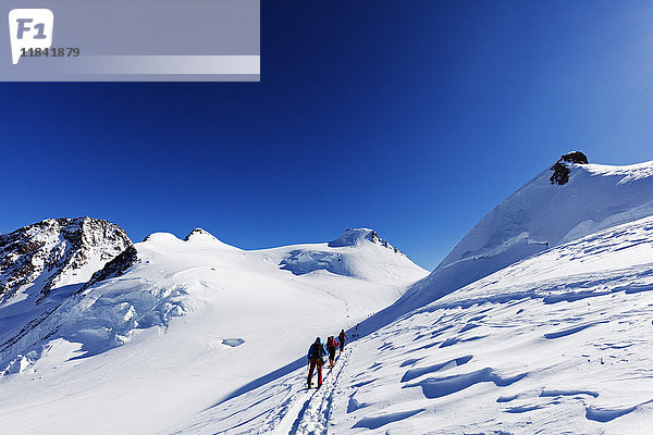 Skitourengeher auf dem Monte Rosa  Grenze zwischen Italien und der Schweiz  Alpen  Europa