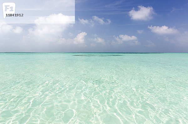 Kristallklares Meer und blauer Himmel  Coco Palm Resort  Dhuni Kolhu  Baa Atoll  Republik Malediven  Indischer Ozean  Asien