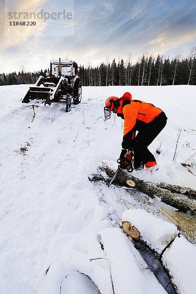 Holzfäller beim Schneiden von Baumstämmen mit der Kettensäge im Winter