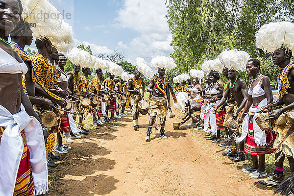 Ein traditioneller Teil einer Hochzeitszeremonie mit Trommeln; Uganda