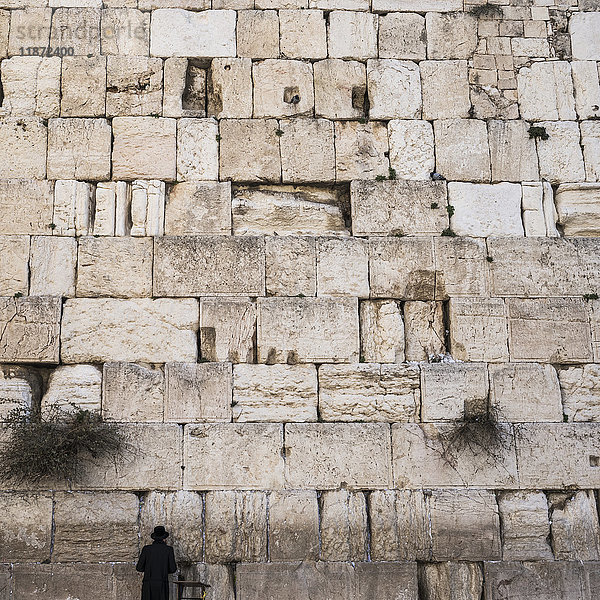 Ein einsamer jüdischer Mann steht an der Klagemauer  Altstadt von Jerusalem; Jerusalem  Israel'.