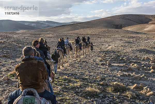 Touristen reiten auf Kamelen in einer Reihe durch die judäische Wüste; Ezor Beer Sheva  Südbezirk  Israel'.