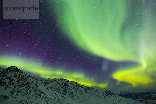 Aurora Borealis wirbelt in einer sehr kalten Winternacht über die Berge im Denali National Park; Alaska  Vereinigte Staaten von Amerika'.