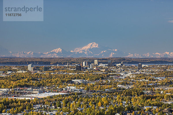Luftaufnahme der Anchorage Bowl  der Innenstadt von Anchorage und des Denali im Hintergrund im Herbst  Southcentral Alaska  USA