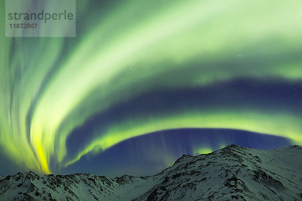 Aurora borealis erstreckt sich über die Berge im Denali-Nationalpark in einer sehr kalten Winternacht; Alaska  Vereinigte Staaten von Amerika'.