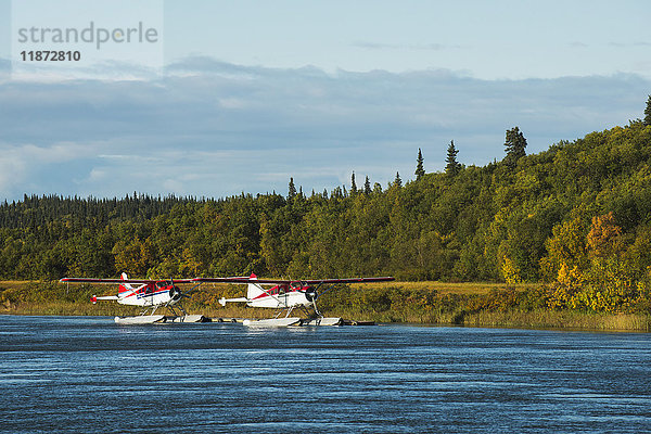 Ein Paar DeHavilland Beaver Wasserflugzeuge  die am Kvichak River in der Region Bristol Bay im Südwesten Alaskas festgemacht sind.
