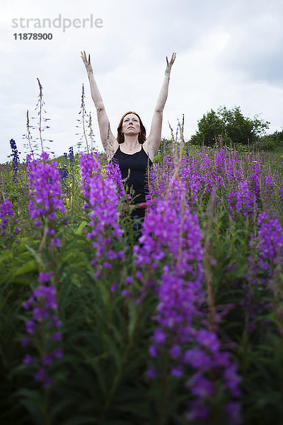 Eine Frau macht Yoga auf einer Wiese mit Feuerkraut (Chamaenerion angustifolium); Homer  Alaska  Vereinigte Staaten von Amerika'.