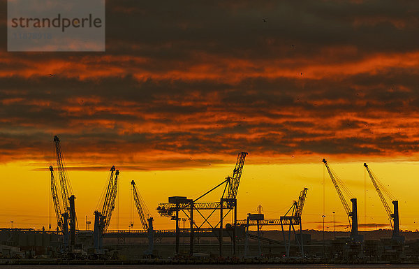 Silhouette von Kränen auf einer Baustelle vor einem dramatischen roten und gelben Himmel bei Sonnenuntergang; South Shields  Tyne and Wear  England'.