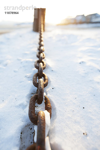 Eine rostige Metallkette liegt im Schnee; Alaska  Vereinigte Staaten von Amerika'.