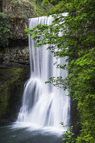 Lower South Falls erreicht man über den Canyon Trail im Silver Falls State Park; Silverton  Oregon  Vereinigte Staaten von Amerika'.