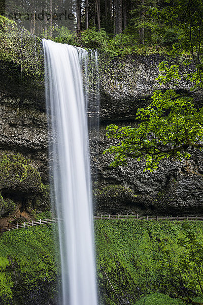 South Falls ist der beliebteste Wasserfall im Silver Falls State Park; Silverton  Oregon  Vereinigte Staaten von Amerika'.