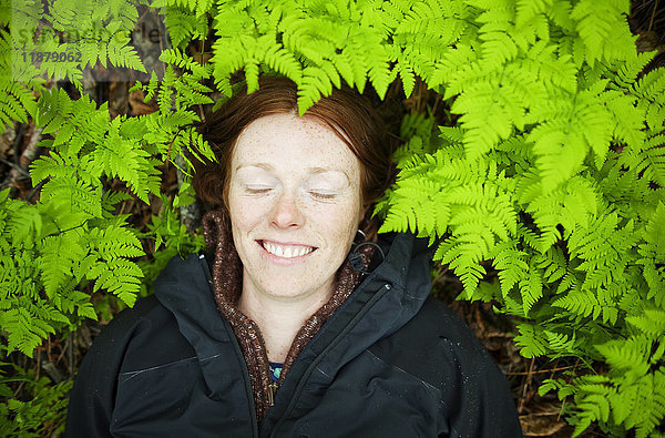 Eine Frau legt ihren Kopf auf den Waldboden zwischen den leuchtend grünen  üppigen Farnen; Alaska  Vereinigte Staaten von Amerika'.