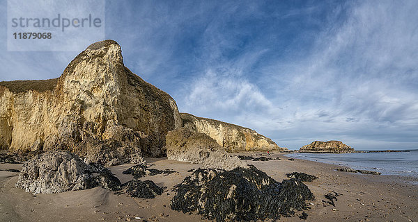 Landschaft mit Klippen entlang der Küstenlinie und Algen und Felsen am Strand; South Shields  Tyne and Wear  England