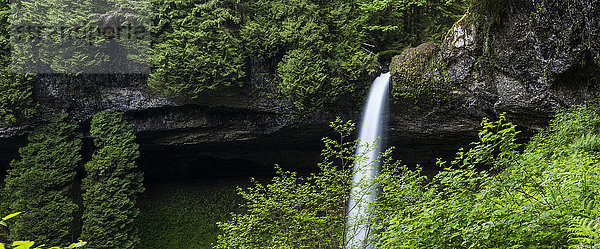 North Falls stürzt in die Schlucht im Silver Falls State Park; Silverton  Oregon  Vereinigte Staaten von Amerika'.