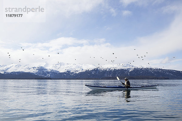 Paddeln in einem Kanu auf ruhigem Wasser mit einem Schwarm Vögel  die über dem Wasser fliegen  und einem Blick auf die schneebedeckten Kenai Mountains  Kachemak Bay State Park; Alaska  Vereinigte Staaten von Amerika'.