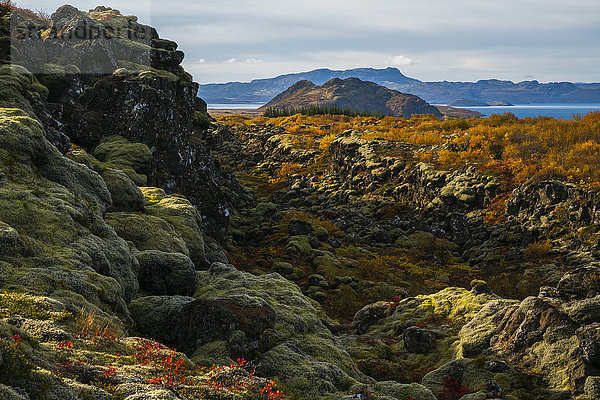 Die Herbstfarben im Thingvellir-Nationalpark; Island'.