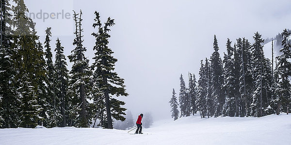 Ein Skifahrer in einem roten Mantel fährt durch die Wolken in den verschneiten Bergen; Whistler  British Columbia  Kanada'.