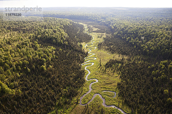 Ein Fluss schlängelt sich durch eine bewaldete Landschaft  Kenai-Halbinsel; Alaska  Vereinigte Staaten von Amerika'.