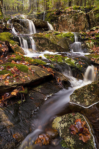 Wasserfall und Bach in einem Wald im Spätherbst; Bedford  Nova Scotia  Kanada'.