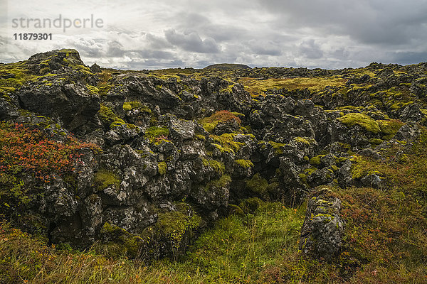 Alte  mit Moos bedeckte Lava; Island'.