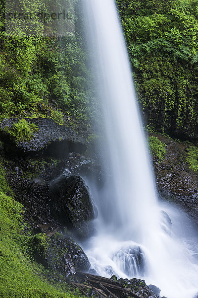North Falls stößt an die Felsen im Silver Falls State Park; Silverton  Oregon  Vereinigte Staaten von Amerika'.