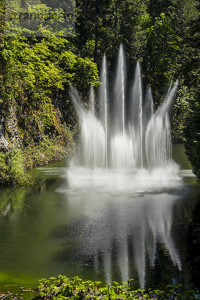 Wasserfontäne in den Butchart Gardens; Victoria  British Columbia  Kanada .