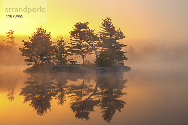 Nebeliger Oktobermorgen  Sonnenaufgang und Insel auf dem Dollar Lake  Dollar Lake Provincial Park; Nova Scotia  Kanada'.