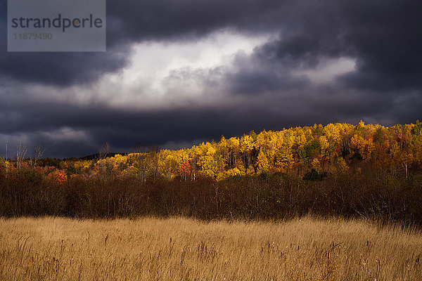 Sturmwolken und Sonne an einem Herbstnachmittag in Dunns Cove; Nova Scotia  Kanada .