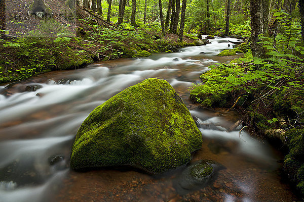 Hart Lake Brook  Wentworth Valley; Neuschottland  Kanada .