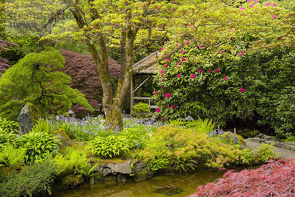 Japanischer Garten in den Butchart Gardens; Victoria  British Columbia  Kanada'.
