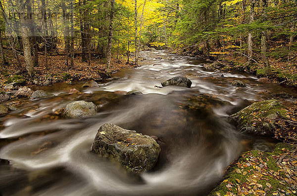 Herbst am Swan Brook; East Wentworth  Neuschottland  Kanada