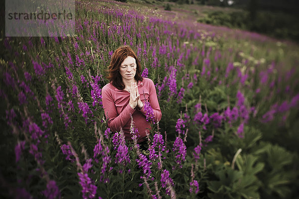 Eine Frau macht Yoga auf einer Wiese mit Feuerkraut (Chamaenerion angustifolium); Homer  Alaska  Vereinigte Staaten von Amerika'.