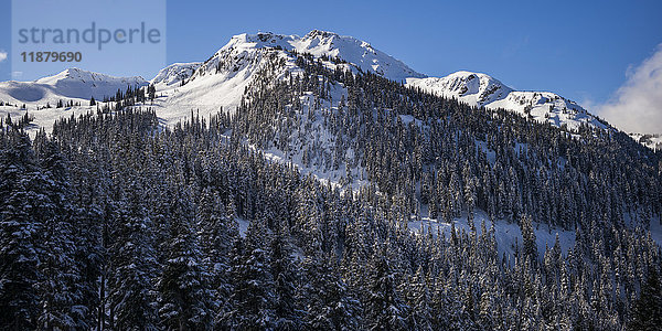 Landschaft der kanadischen Rocky Mountains  bedeckt mit Wald und Schnee; Whistler  British Columbia  Kanada'.