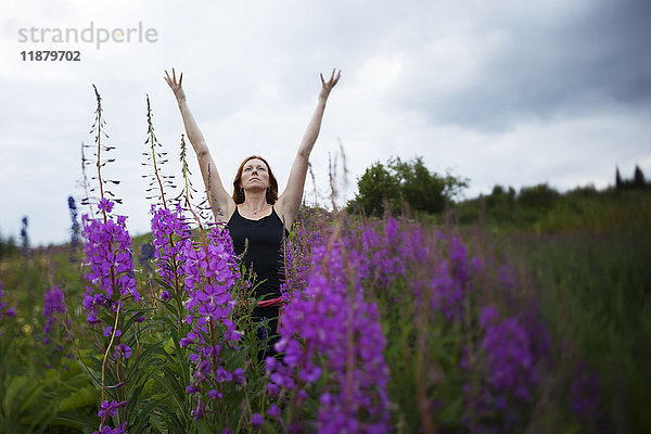 Eine Frau macht Yoga auf einer Wiese mit Feuerkraut (Chamaenerion angustifolium); Homer  Alaska  Vereinigte Staaten von Amerika'.